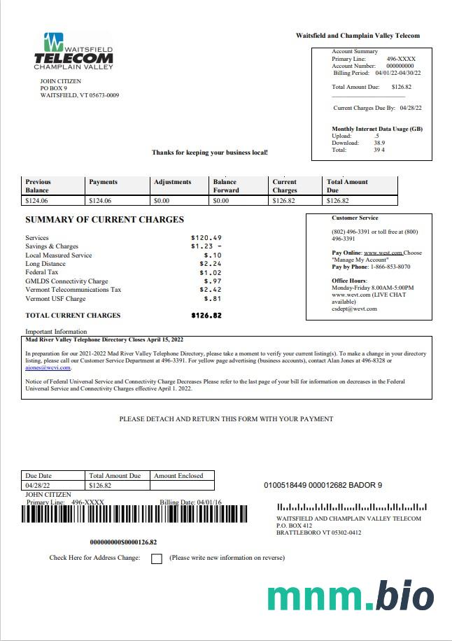 USA Waitsfield Telecom rachunek za media szablon w formacie Word i PDF